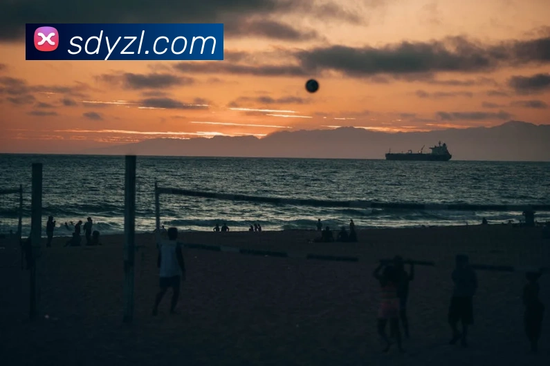 尊龙凯时平台生态图